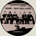 Okładka Linkin Park vs. Dark Skies